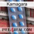 Kamagara viagra3